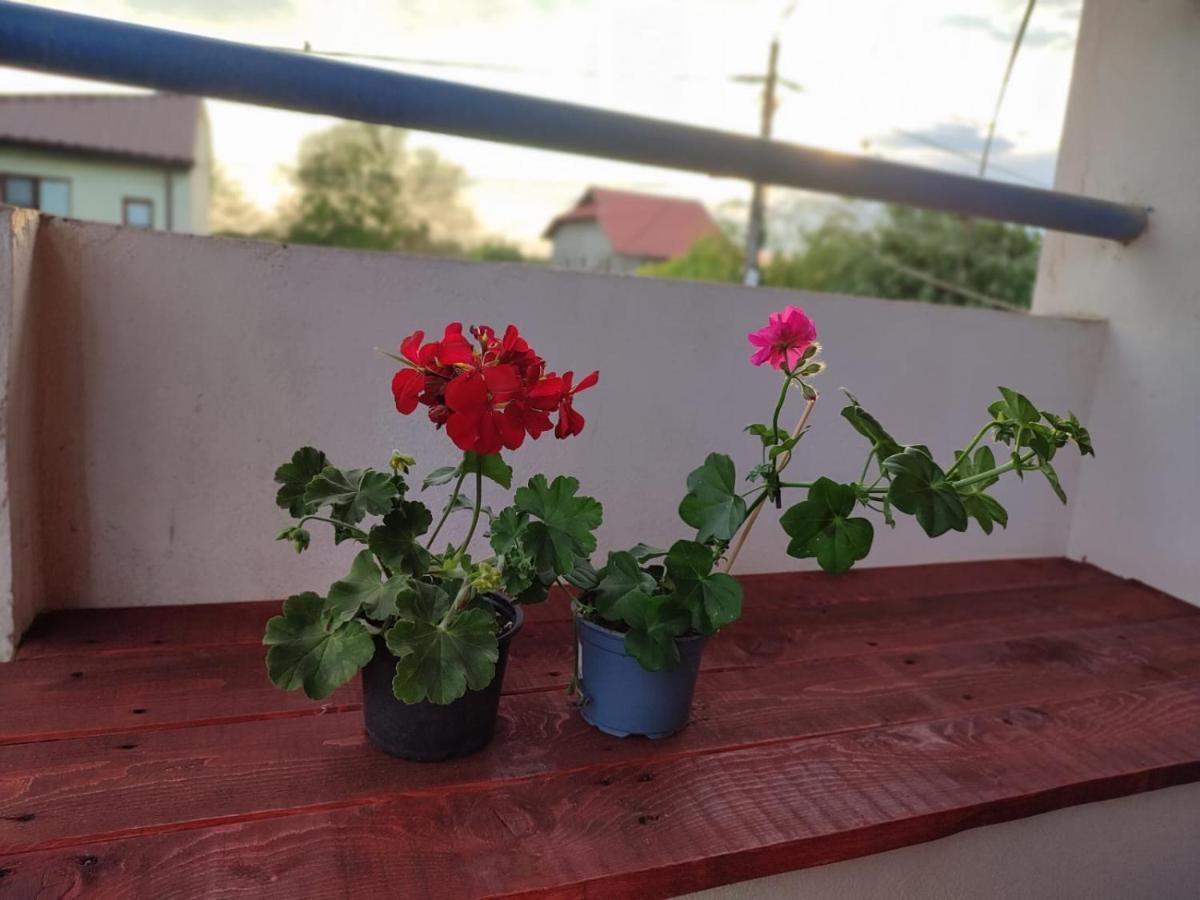 Casa Victor Διαμέρισμα Eforie Nord Εξωτερικό φωτογραφία