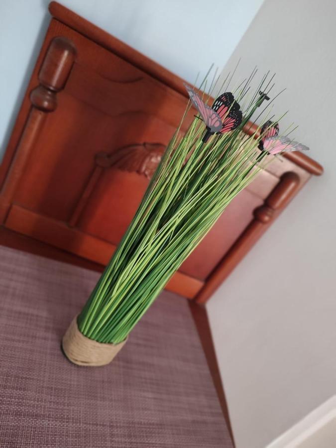 Casa Victor Διαμέρισμα Eforie Nord Εξωτερικό φωτογραφία